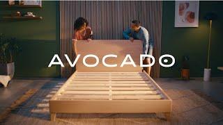 The City Bed by Avocado, Tool-Free Assembly