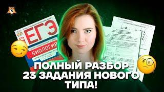 Полный разбор задания 23 нового типа!