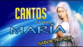 Cantos a la virgen María, Sabor Tropical