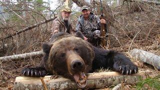 Amur bear hunt with Sergey outfitter