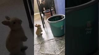 #funny #comedy Laugh lab