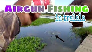 Airgun Fishing in Tralala | Alas Tenorio F. H.