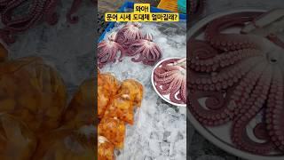 삼척새벽시장  문어 가격 도대체 얼마?