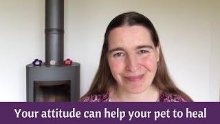 Your attitude can help your pet to heal