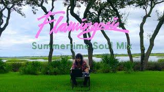 Flamingosis - Summertime Soul (DJ Mixtape)