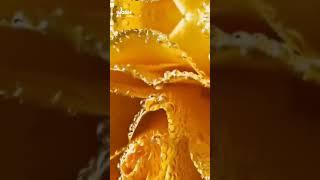 all different types of yellow thinks #viral #amit'sthoughts #trending