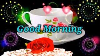 Good Morning status , Good Morning shayari , Good Morning video , Good Morning