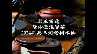 老王精選紫砂壺泡岩茶2024年吳三地老樹水仙 #今天你喝茶了嗎 #召喚茶友 #岩茶 #岩茶水仙 #紫砂壺