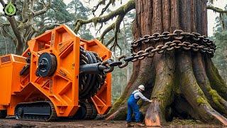 Extreme Dangerous Fastest Big Chainsaw Cutting Tree Machines | Monster Stump Removal Excavator #98