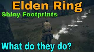 Shiny Footprints: What you Need to Know - Elden Ring