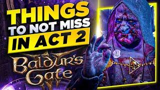 Things You Can Miss In Act 2 - Baldur's Gate 3