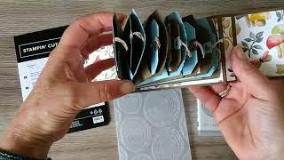 Very cute mini album with accordion pocket pages