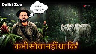 Exploring Delhi Zoo : A Day with Lions, white Tigers, and Majestic Peacocks! | Safar Calling