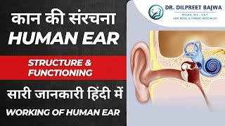 कान की संरचना Human Ear Structure and Functioning | Working of Human Ear in Hindi