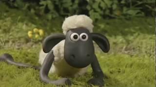 Mielul Shaun S1E1 - ''Fotbalul e un joc grozav!'' / Shaun the Sheep S1E1