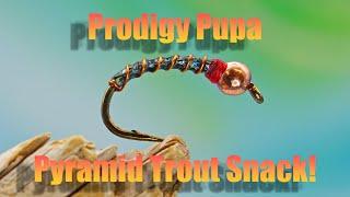 Pyramid Lake Chironomid-How to Tie the Prodigy Pupa