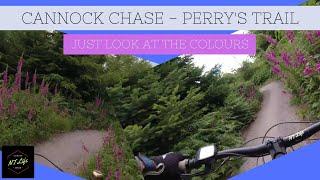 Cannock Chase MTB - Perry's Trail in Full Summer colours