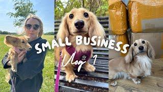 STUDIO VLOG #1 SMALL BUSINESS LAUNCH BEHIND THE SCENES | DOG ACCESSORIES