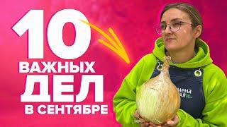 10 РАБОТ В САДУ И ОГОРОДЕ В СЕНТЯБРЕ!