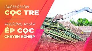 Cách Chọn Cọc Tre Và Phương Pháp Ép Cọc Chuyên Nghiệp Ở Nền Đất Như Thế Nào