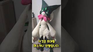 1:1사이즈 초대형 마스카나 사용 후기.