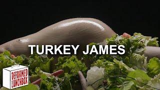 Turkey James