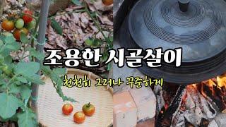 전원생활vlog | 성장형 농부8 | 신기한 텃밭 | 시골 가마솥 요리 | 가장 맛있는 한끼