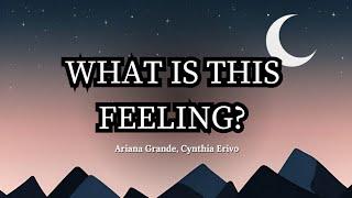 What Is This Feeling? | By Ariana Grande & Cynthia Erivo | Lyric Video | 4K