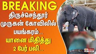 #BREAKING - திருச்செந்தூர் முருகன் கோவிலில் பயங்கரம்... யானை மிதித்து 2 பேர் பலி...