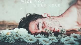 Emotional Relaxing Music "Wish You Were Here" | Ülvi Zeynalov