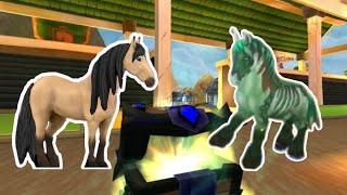 Opening 8 Bronze Whistles | Horse Riding Tales | Starlight Flyers