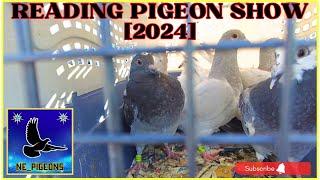 The Biggest [Pigeon Show] - Lancaster, PA (2024) ️