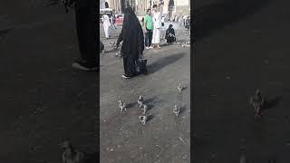 beautiful morning  Sence #shorts #viral #shortvideo #islam #islamicstatus #masjidalharam #makkah