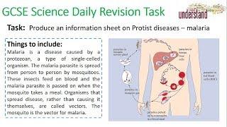 GCSE Science Daily Revision Task 11:  Malaria