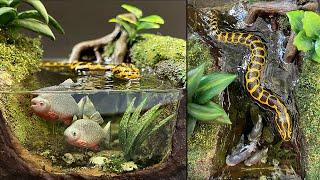 How to Make a River Diorama / Epoxy Resin / Yellow Anaconda Snake & Pacu Fish