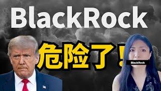 华尔街巨头 BlackRock首席投资官，TRUMP大选后，最危险2件事，市场最大风险