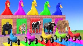 Long Slide Game With Cow Elephant Gorilla Hippopotamus Tiger - 3d Animal Game - Funny 3d Animals