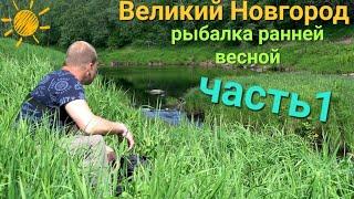 По перекатам, в поисках голавля.Рыбалка в Великом Новгороде.На рыбалке с ночёвкой