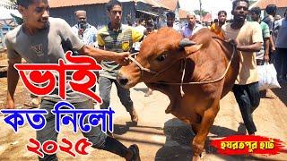 Bhai Koto Nilo 2025 | Hazratpur Gorur Haat 2025 | Qurbani Cow Price 2025 today | Part-01