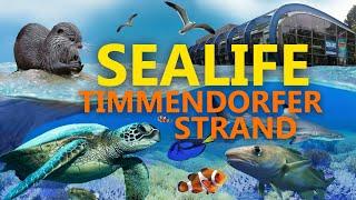 Sealife Timmendorfer Strand | Zoo-Eindruck