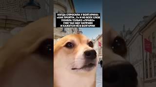 Слово дня в Болгарии, из-за которого я заблудилась! #рилс #юмор #тренды #юморжизни #жиза #болгария
