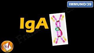 IgA: Structure, Properties and Functions (FL-Immuno/39)