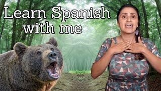 Real Life stories in Spanish - Comprehensible Input - Learn Spanish