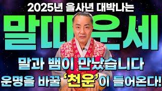 2025년 을사년 말띠 운세 인생을 바꿀 천운이 들어옵니다! 10년만의 기회를 꽉 잡으세요! [성남점집 화성점집 일월성신]