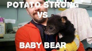 Potato Strong vs. Baby Bear