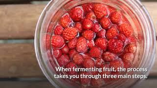 Can Fruit Ferment in The Fridge? (How Does Fruit Ferment?)  » HomeBrewAdvice