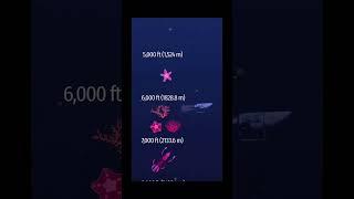 На какой глубине находится Титаник? #shortsbeta #shortsvideo путешествие к Титанику на батискафе