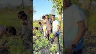 Chane ke khet me chori