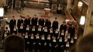 St. Petersburger Knabenchor - The Lion sleeps tonight