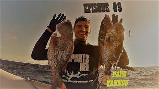 TUTO CSM GUEULE PAVEE / POISSON SYNCOPE / BEC DE CANE Ep N°09 SPEARFISHING & FREEDIVING